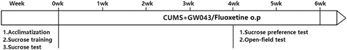 Details are in the caption following the image Details are in the caption following the image