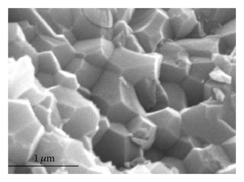Details are in the caption following the image