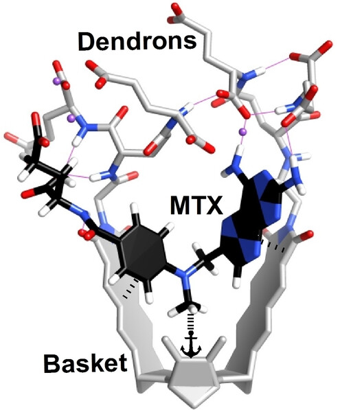 Dendritic Molecular Baskets for Selective Binding of Toxic Methotrexate