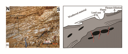Details are in the caption following the image Details are in the caption following the image