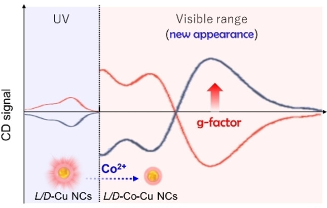 Modulation by Co (II) Ion of Optical Activities of L/D-glutathione (GSH)-modified Chiral Copper Nanoclusters for Sensitive Adenosine Triphosphate Detection