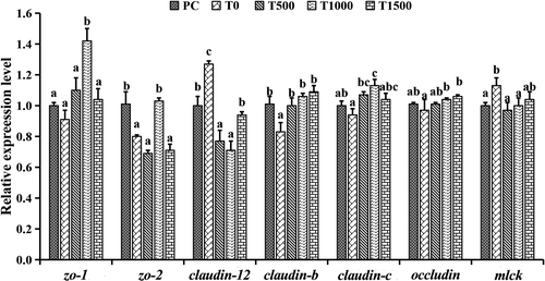 Details are in the caption following the image Details are in the caption following the image