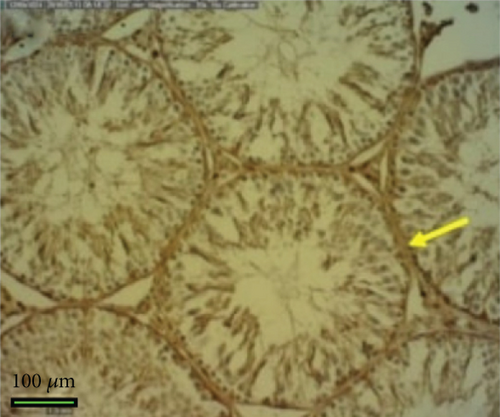 Details are in the caption following the image