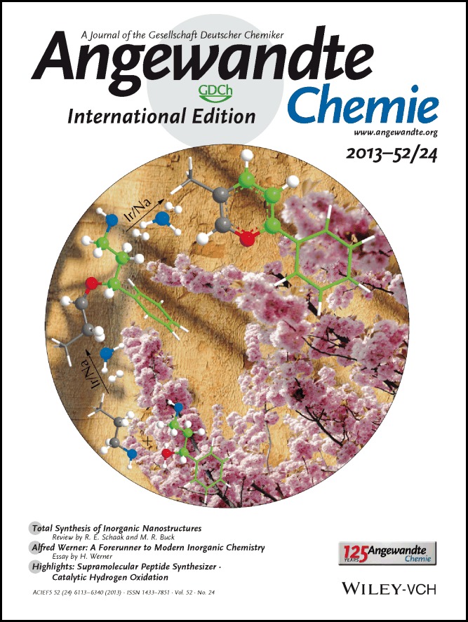 Cover Picture: Regioselectively Functionalized Pyridines from Sustainable Resources (Angew. Chem. Int. Ed. 24/2013)