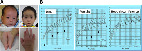 Details are in the caption following the image Details are in the caption following the image