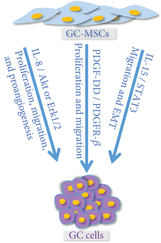 Details are in the caption following the image