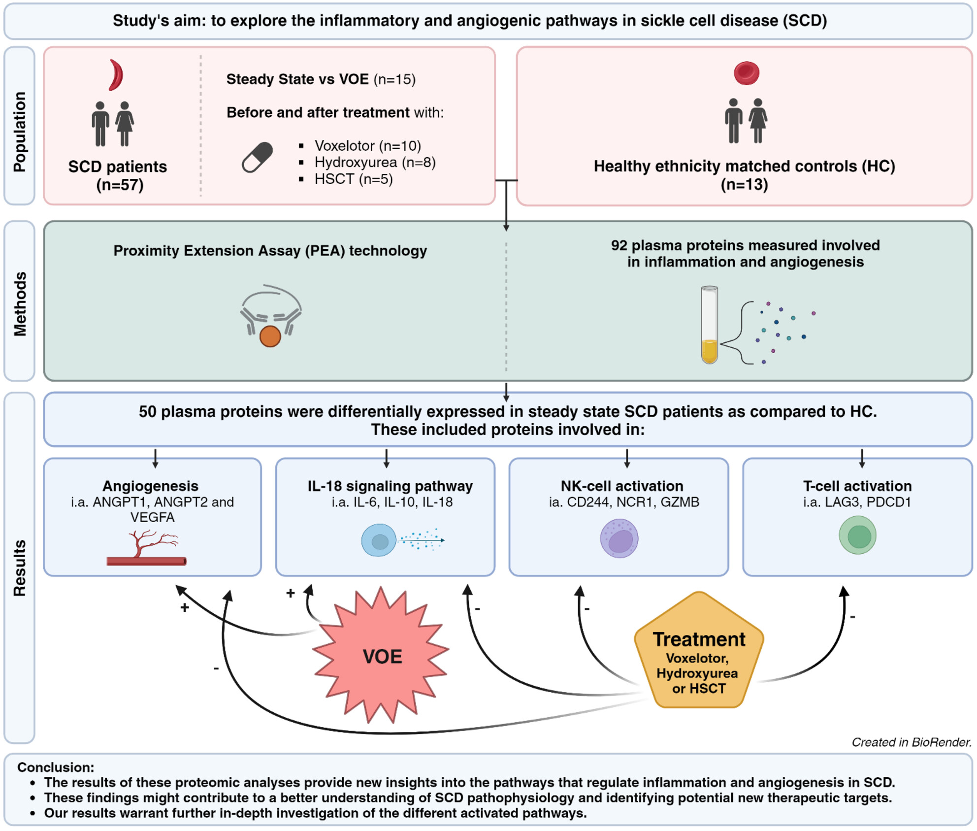 Plasma inflammatory and angiogenic protein profiling of patients with sickle cell disease