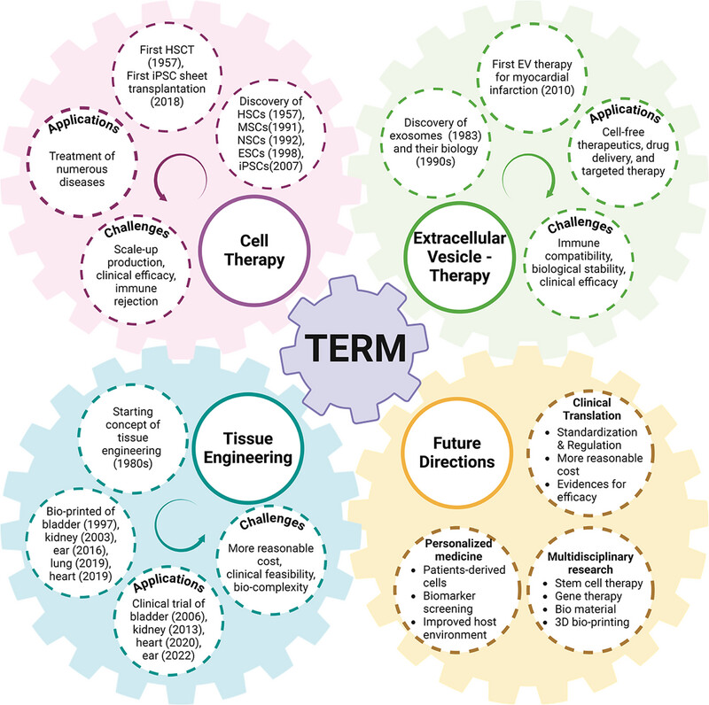 Tissue Engineering and Regenerative Medicine: Perspectives and Challenges