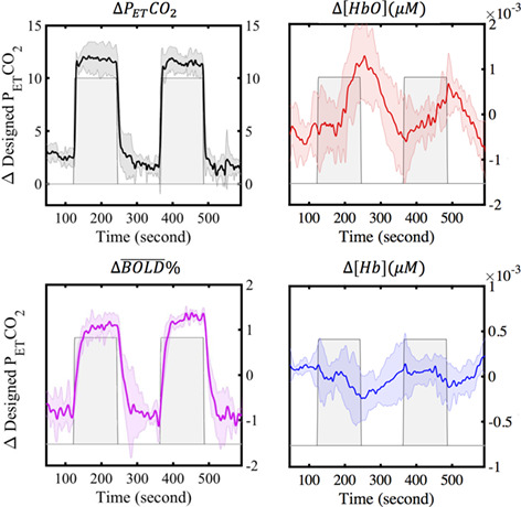 Characterizing near-infrared spectroscopy signal under hypercapnia