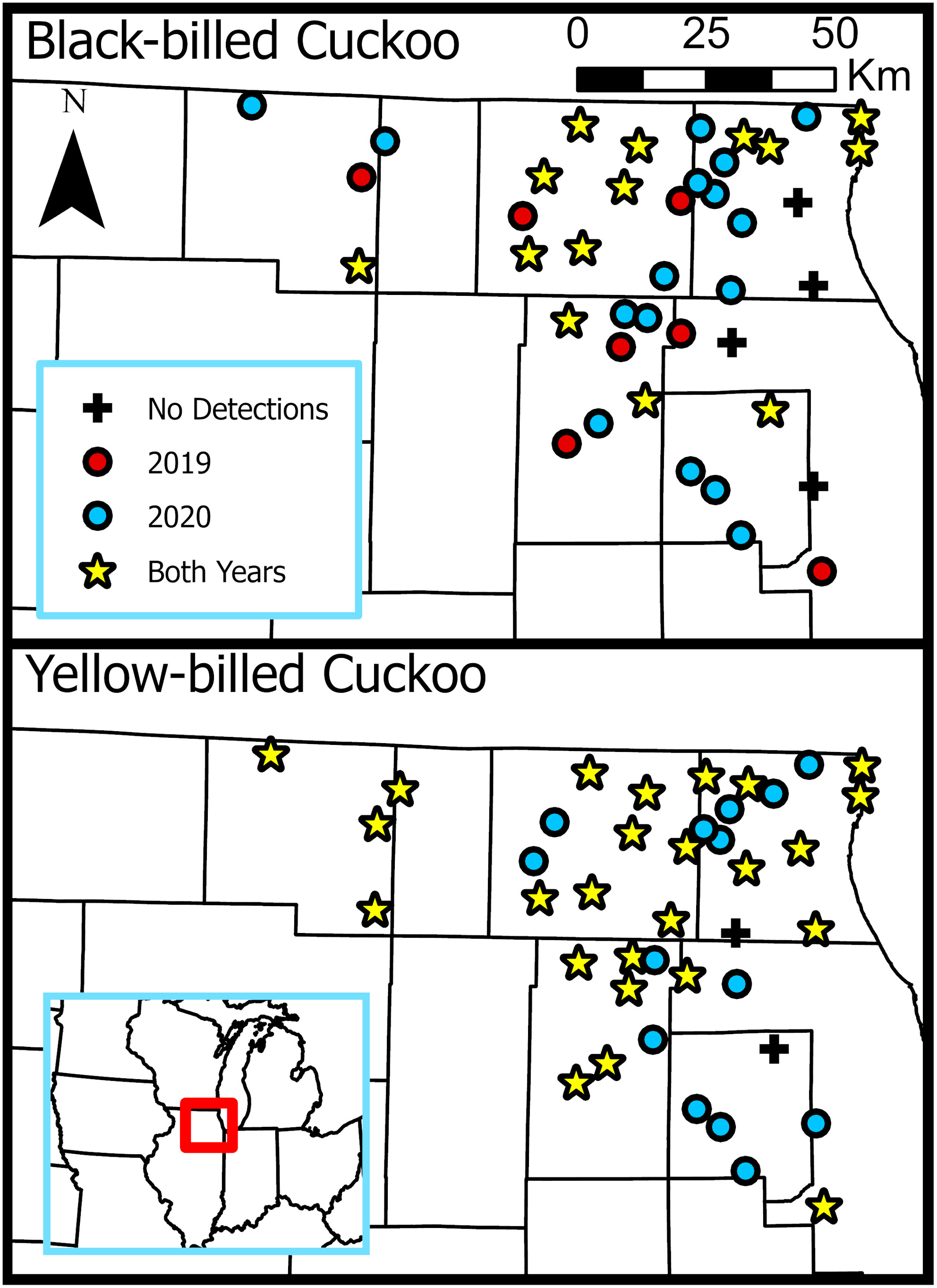 Dynamic, multi-scale analyses indicate site- and landscape-level forest cover drive Yellow-billed and Black-billed Cuckoo interannual turnover