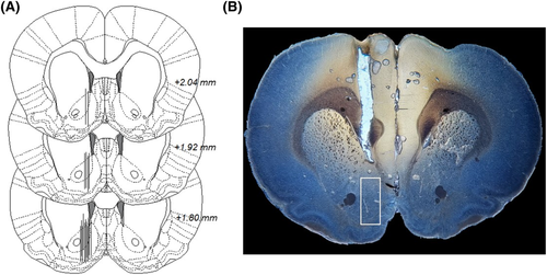 Details are in the caption following the image Details are in the caption following the image
