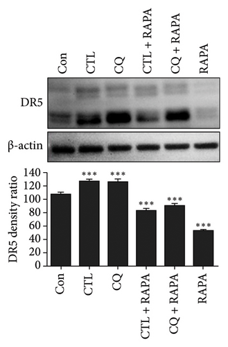 Details are in the caption following the image