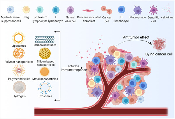 Nonviral vector system for cancer immunogene therapy Issue 1, 2022