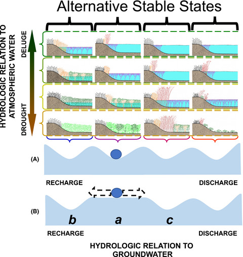 Alternative stable states in inherently unstable systems