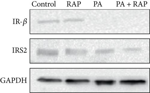 Details are in the caption following the image