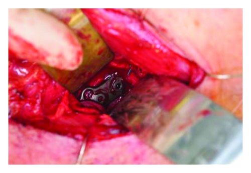 Details are in the caption following the image Details are in the caption following the image