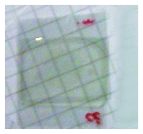 Details are in the caption following the image Details are in the caption following the image