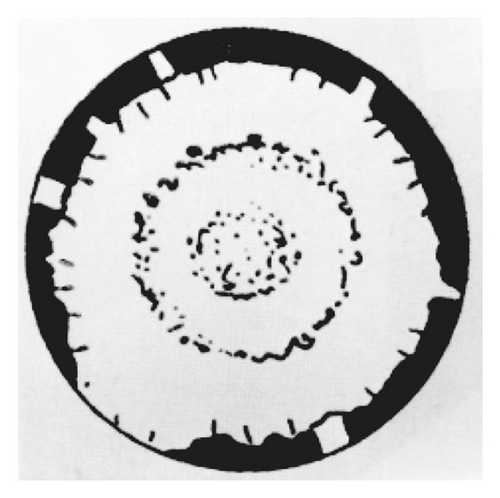 Details are in the caption following the image