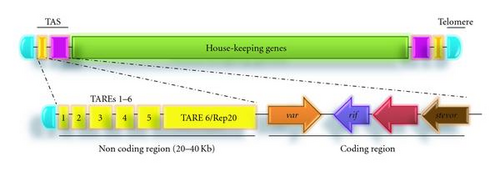 Details are in the caption following the image