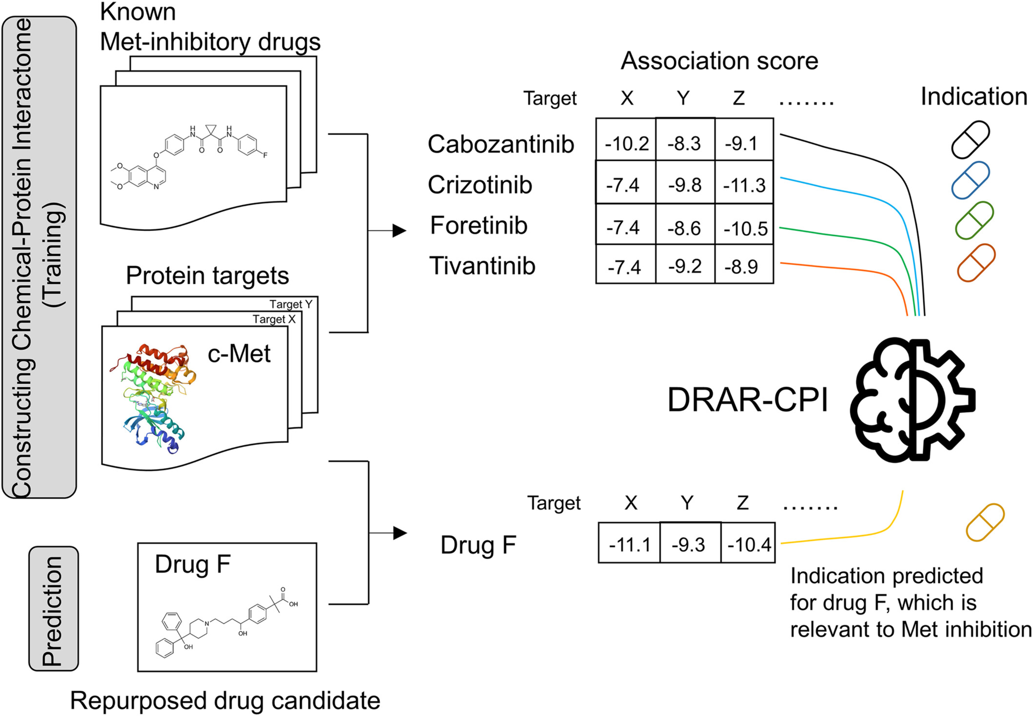 Fexofenadine Overcomes Osimertinib Resistance by Inhibiting c-Met in Non-Small Cell Lung Cancer
