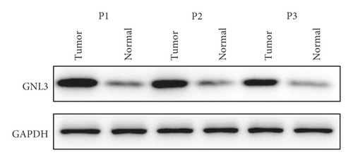 Details are in the caption following the image