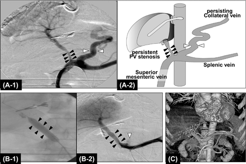 Details are in the caption following the image Details are in the caption following the image