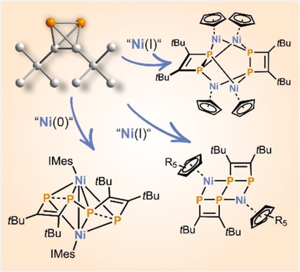 Zugang zu (tBuCP)n-Gerüsten (n=2, 4) durch P-C-Bindungsspaltung von Di-tert-butyldiphosphatetrahedran