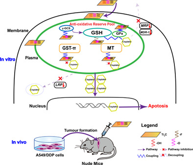 The reversal of drug resistance by two-dimensional titanium carbide Ti2C (2D Ti2C) in non-small-cell lung cancer via the depletion of intracellular antioxidant reserves
