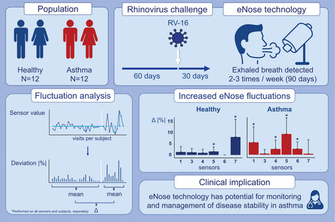 Increased day-to-day fluctuations in exhaled breath profiles after a rhinovirus challenge in asthma