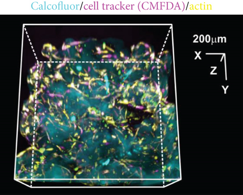 Details are in the caption following the image