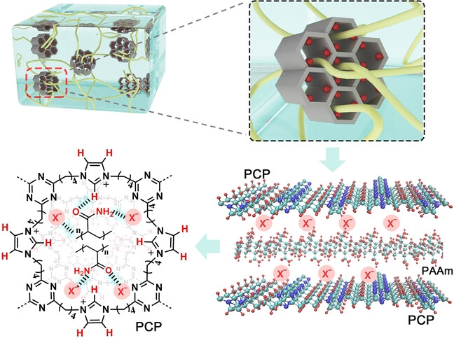 Low-Hysteresis and High-Toughness Hydrogels Regulated by Porous Cationic Polymers: the Effect of Counteranions