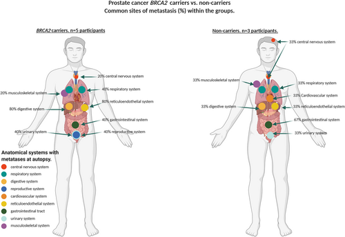 Details are in the caption following the image