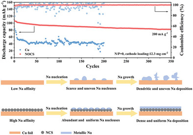 N,O Co-Doped Carbon Spheres Enable Stable Anode-Less Sodium Metal Batteries