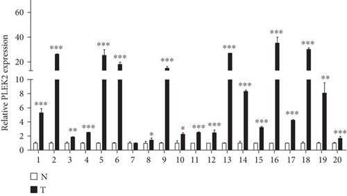 Details are in the caption following the image