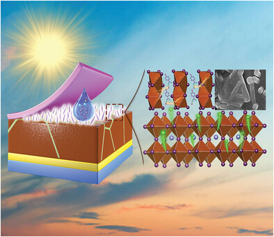 Growth of 1D Nanorod Perovskite for Surface Passivation in FAPbI3 Perovskite Solar Cells