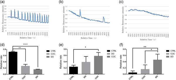Mechanistic insights into the reduced developmental capacity of in vitro matured oocytes and importance of cumulus cells in oocyte quality determination