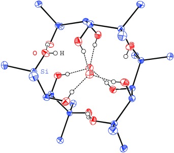 Novel Polysilanols by Selective Functionalizations of Oligosilanes