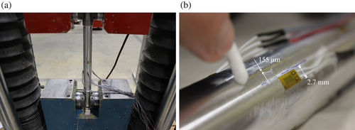 Details are in the caption following the image Details are in the caption following the image