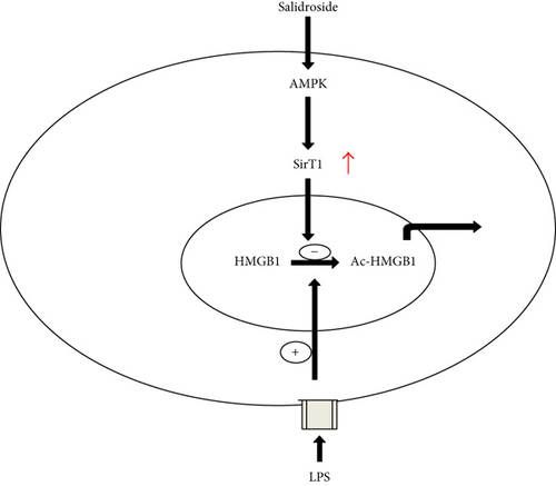 Details are in the caption following the image