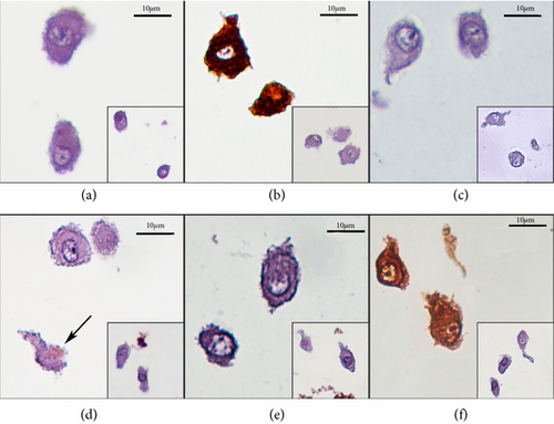 Details are in the caption following the image Details are in the caption following the image