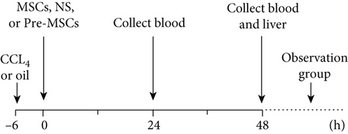 Details are in the caption following the image