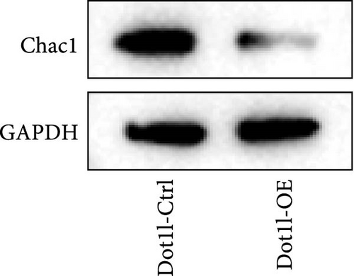 Details are in the caption following the image
