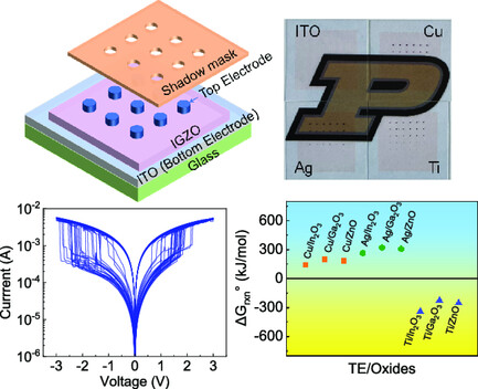 Factors Determining the Resistive Switching Behavior of Transparent InGaZnO-Based Memristors