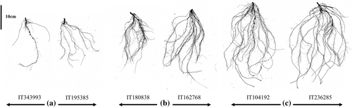 Details are in the caption following the image Details are in the caption following the image