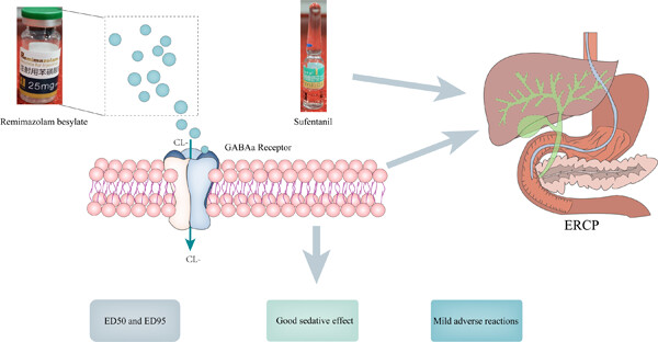 The effective doses of remimazolam besylate in the procedural sedation of endoscopic retrograde cholangiopancreatography