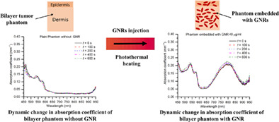 Dynamic change in optical properties of a nanoparticle embedded tumor phantom for plasmonic photothermal cancer therapeutics