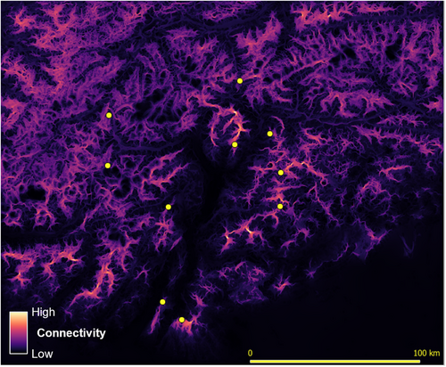 Details are in the caption following the image Details are in the caption following the image