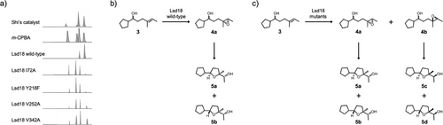 Details are in the caption following the image Details are in the caption following the image