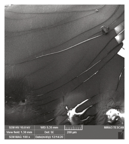 Details are in the caption following the image