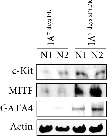 Details are in the caption following the image